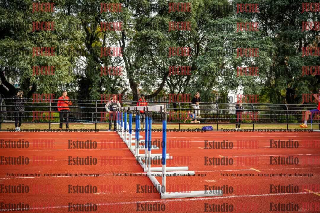Fotos de los 110 m con vallas de varones