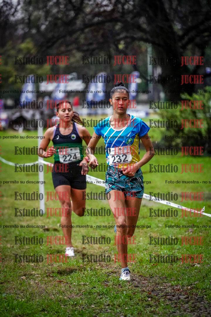 Fotos en el circuito