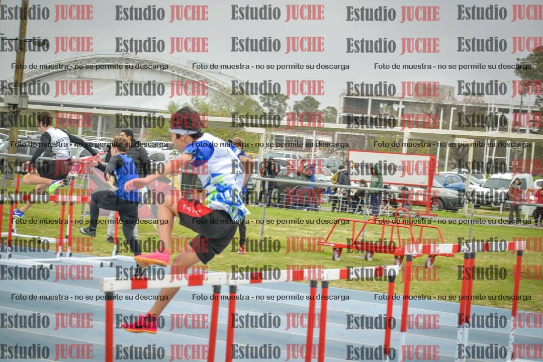 Fotos de los 110 m con vallas de varones