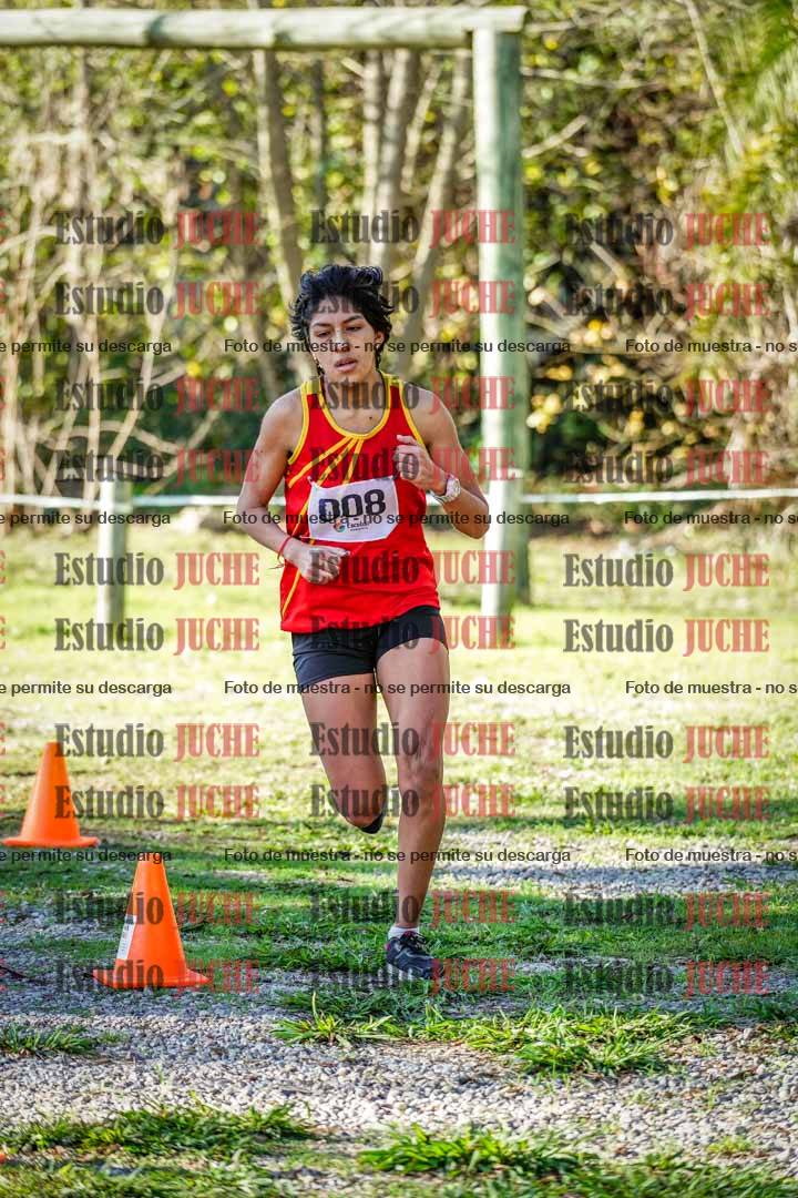 Fotos en el sexto punto del circuito