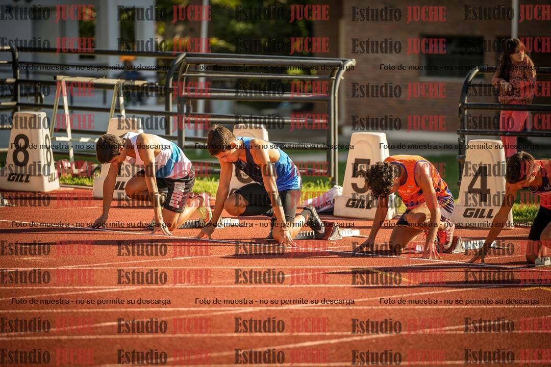 Fotos de los 110 m con vallas de varones