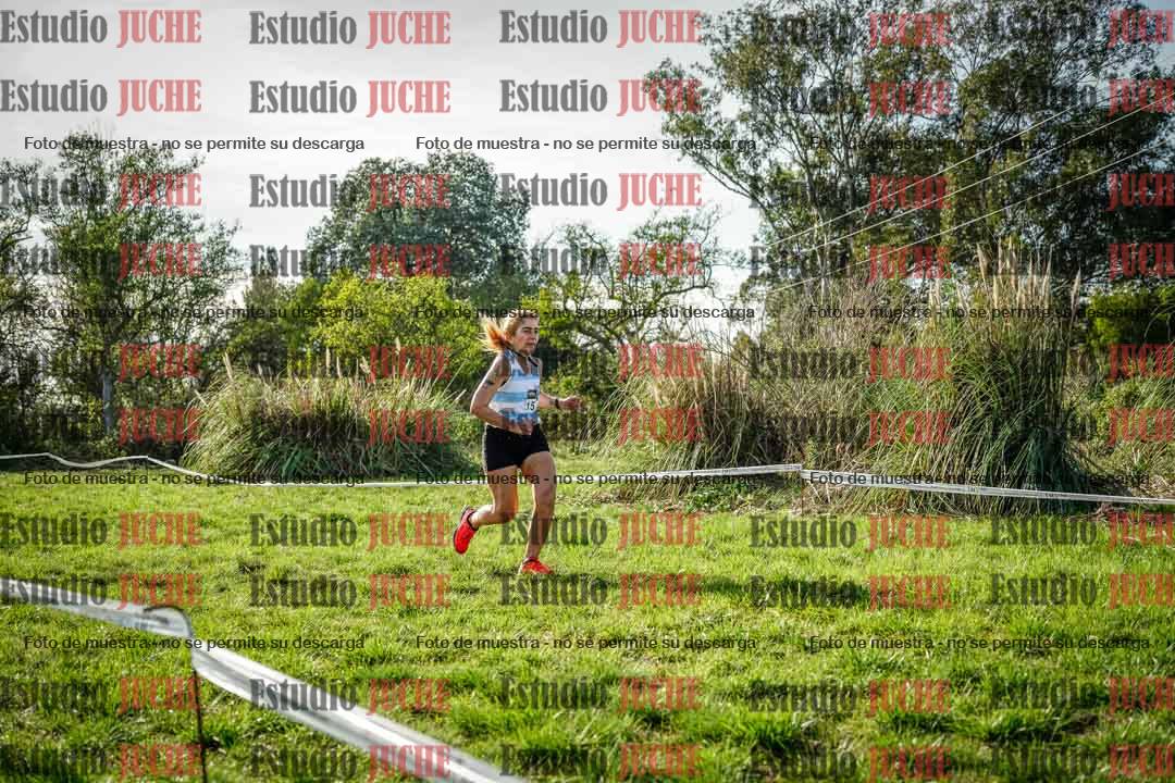 Fotos en el circuito