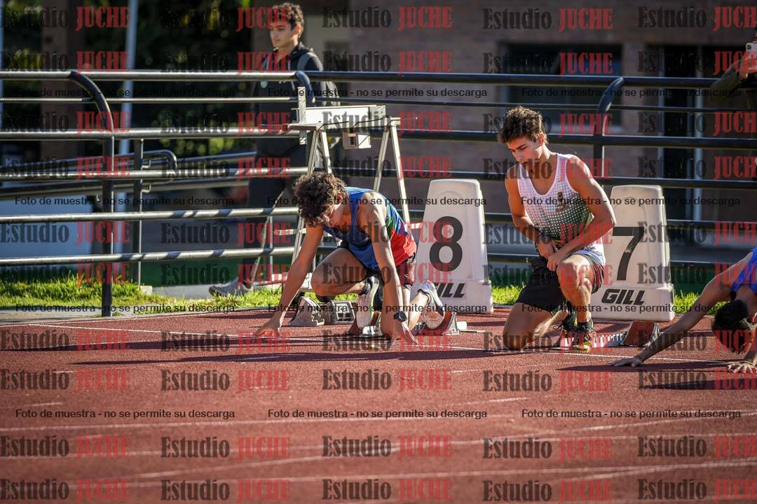 Fotos de los 110 m con vallas de varones