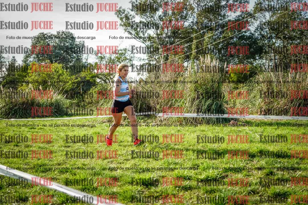 Fotos en el circuito