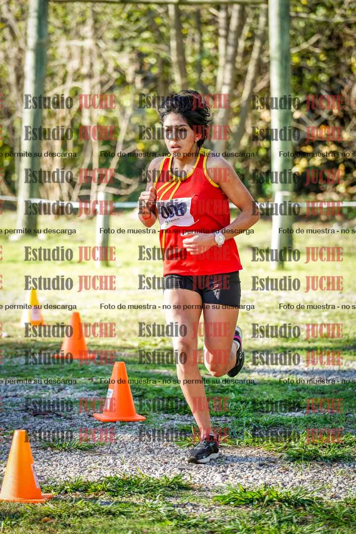 Fotos en el sexto punto del circuito