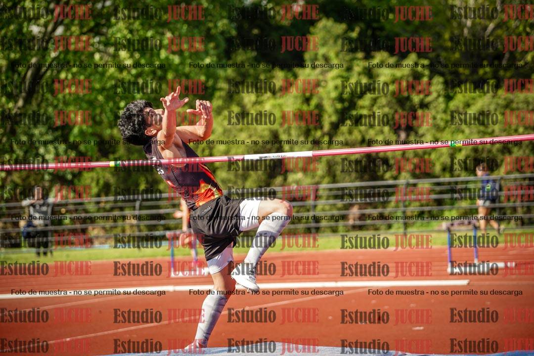 Fotos del salto en alto