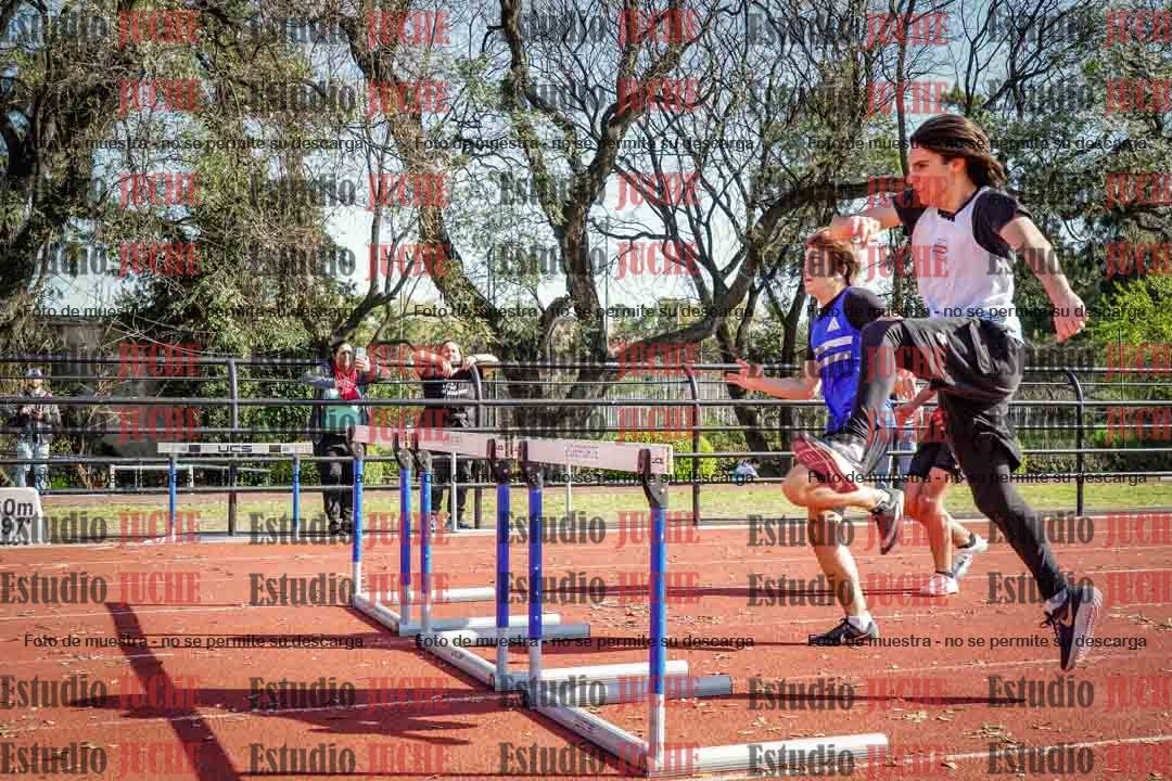 Fotos de los 110 m con vallas de varones
