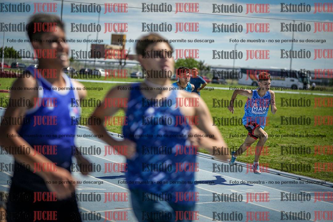 Fotos de los 110 m con vallas de varones