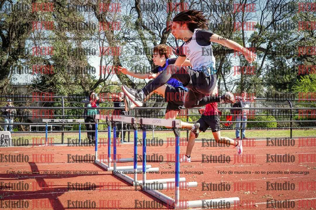 Fotos de los 110 m con vallas de varones