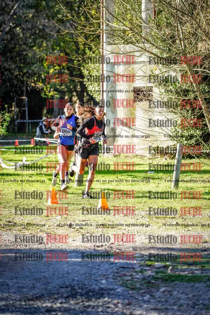 Fotos en el sexto punto del circuito