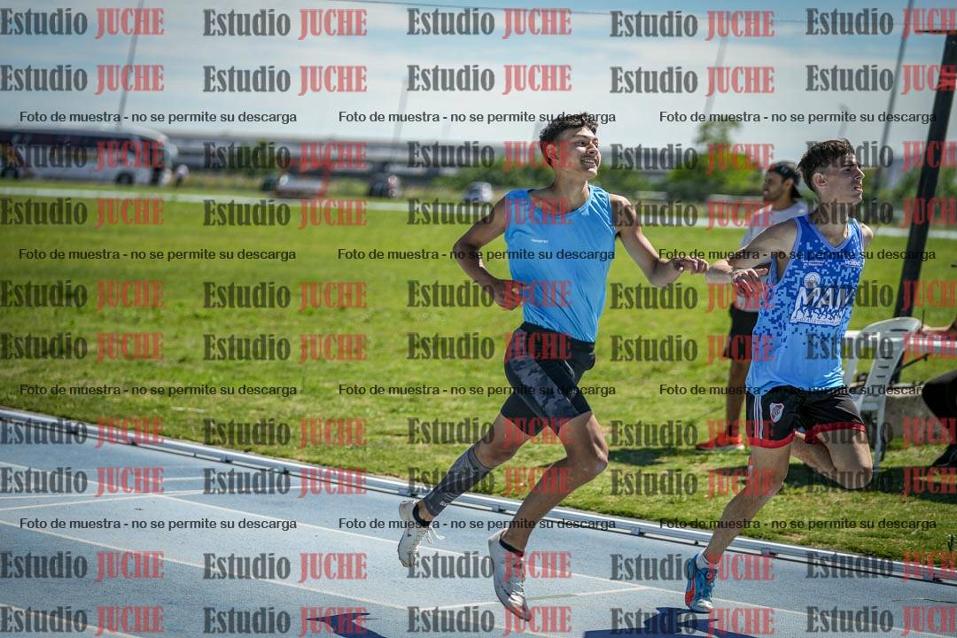 Fotos de los 110 m con vallas de varones