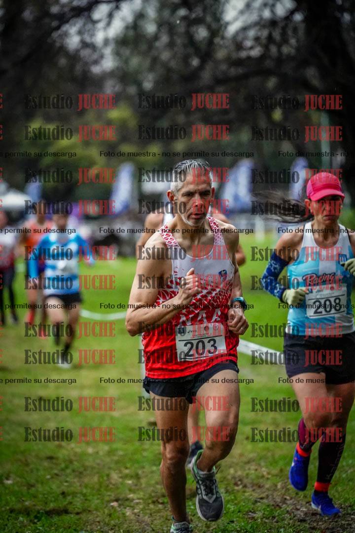 Fotos en el circuito