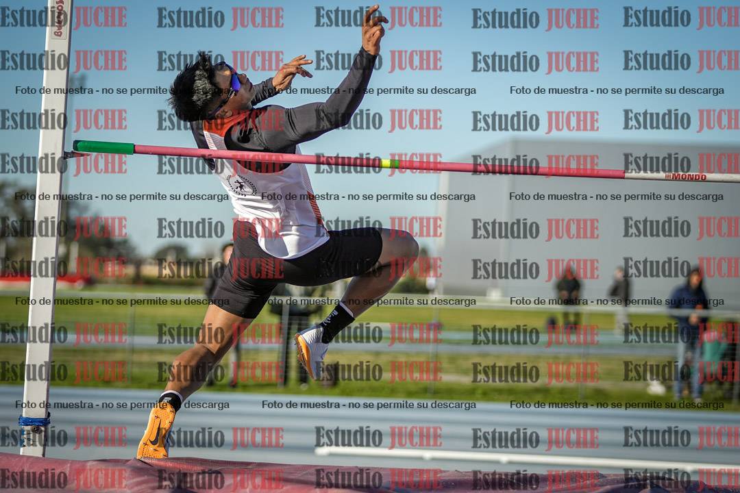 Fotos del salto en alto de varones