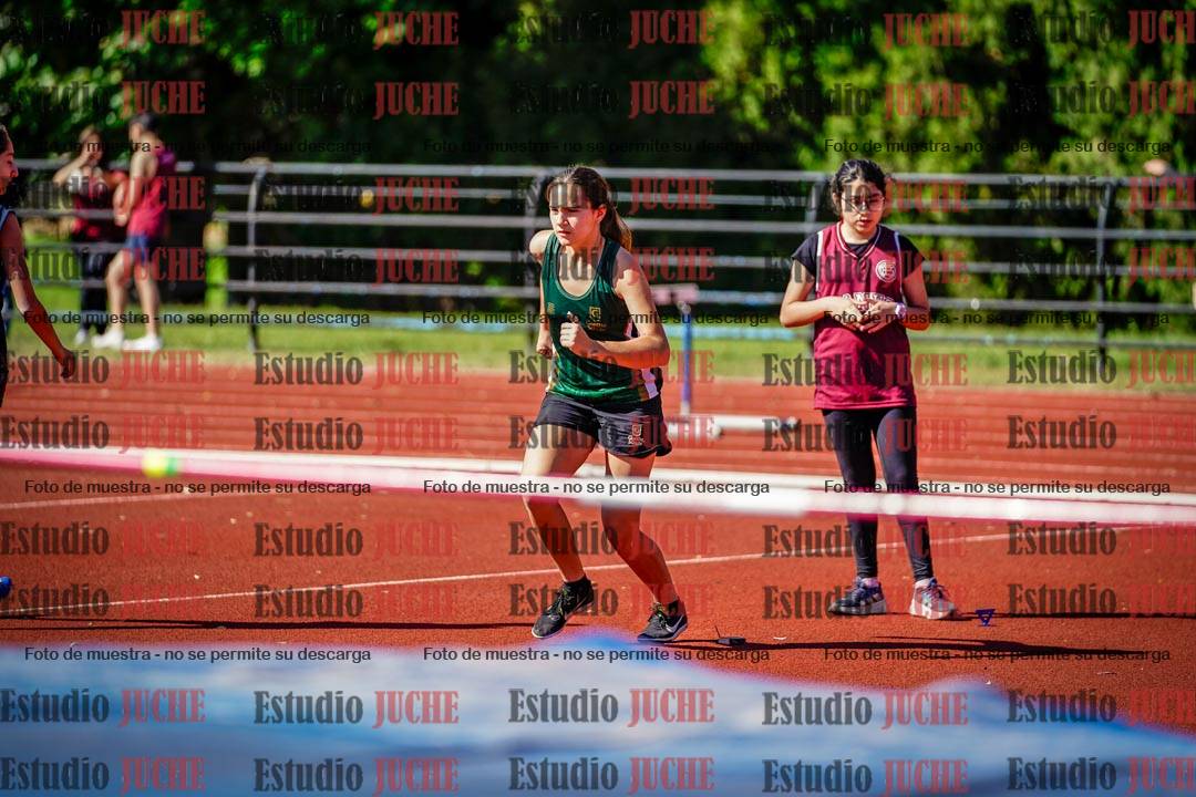 Fotos del salto en alto