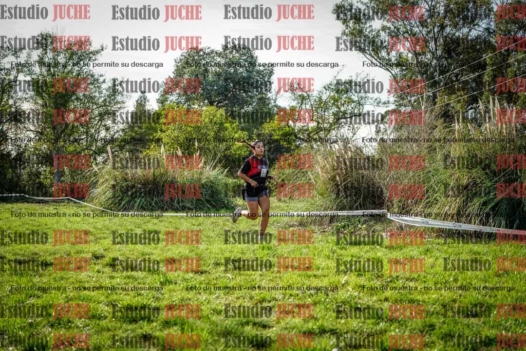 Fotos en el circuito