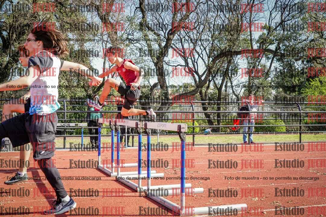 Fotos de los 110 m con vallas de varones