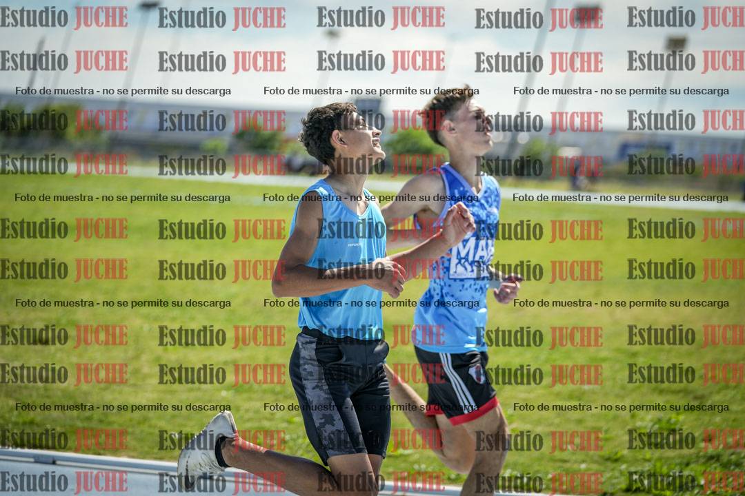 Fotos de los 110 m con vallas de varones