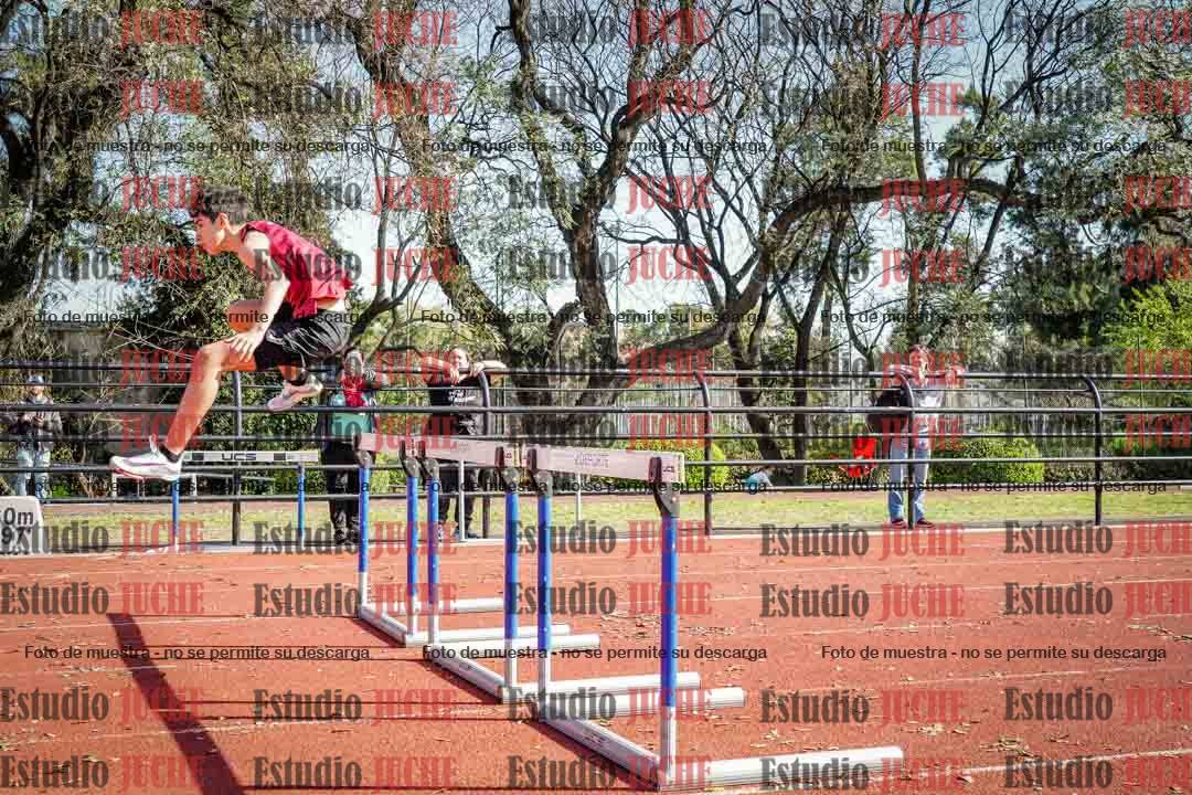 Fotos de los 110 m con vallas de varones