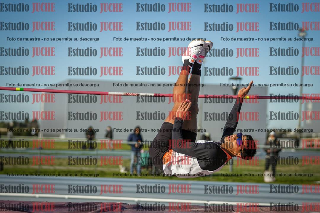 Fotos del salto en alto de varones