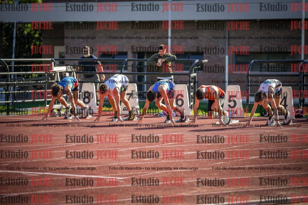 Fotos de los 110 m con vallas de varones