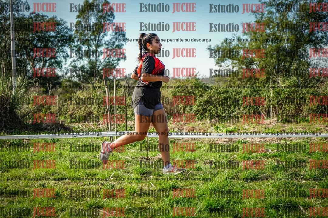 Fotos en el circuito