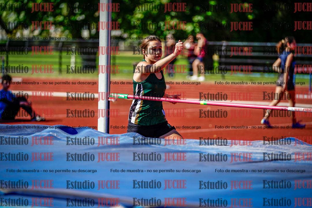 Fotos del salto en alto