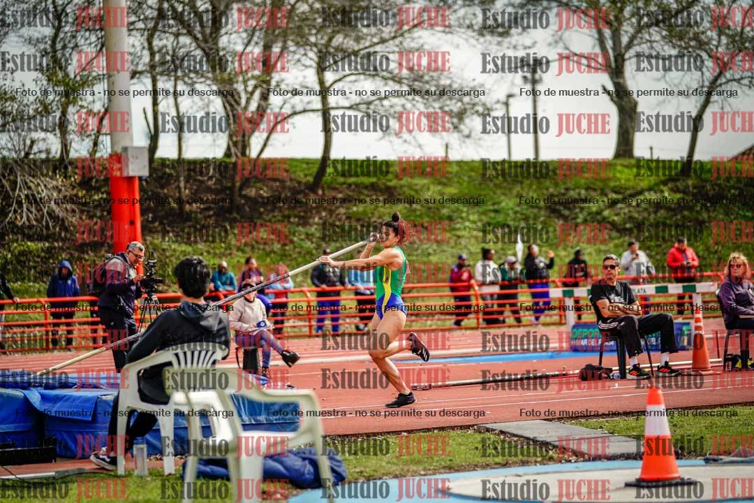 Fotos del salto con garrocha de mujeres - FINAL