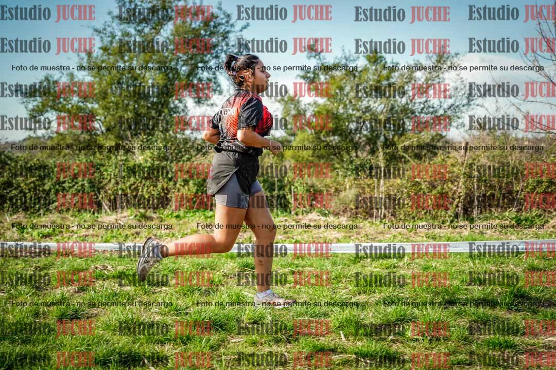 Fotos en el circuito