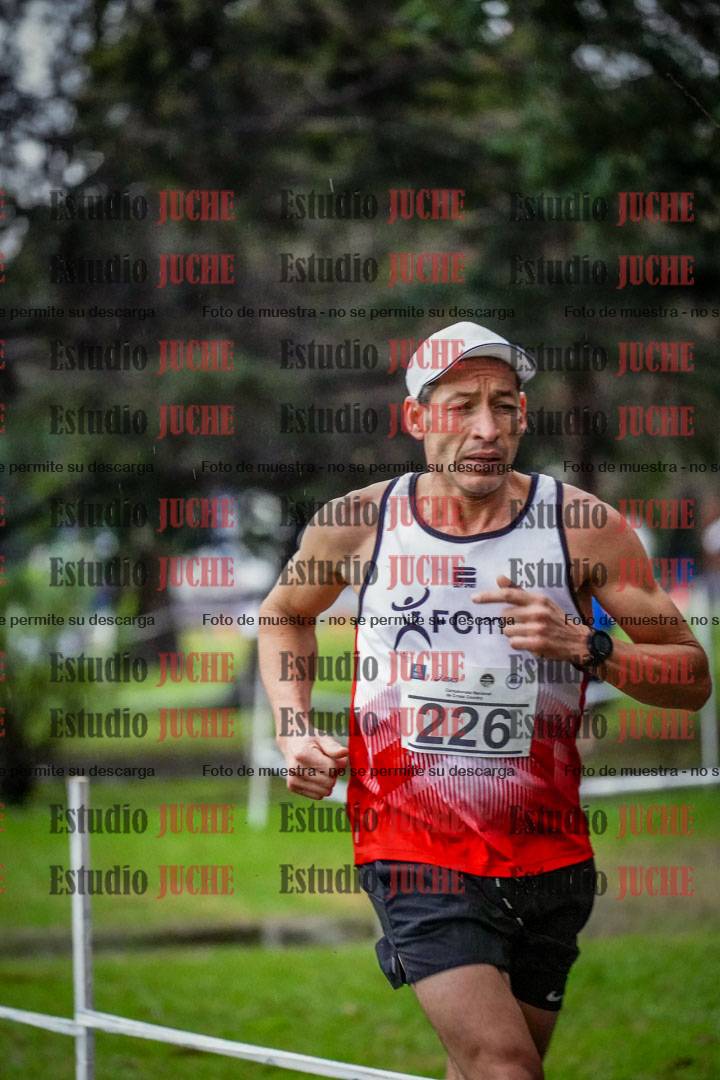 Fotos en el circuito