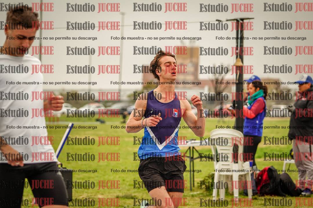 Fotos de los 110 m con vallas de varones