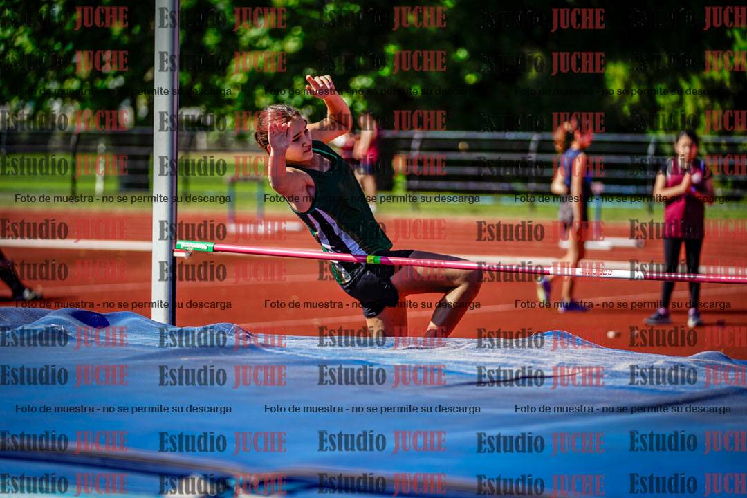 Fotos del salto en alto