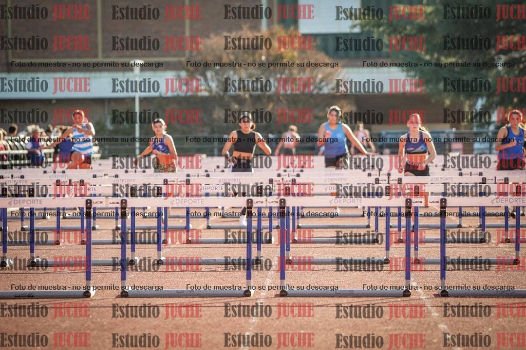 Fotos de los 100 m con vallas de mujeres