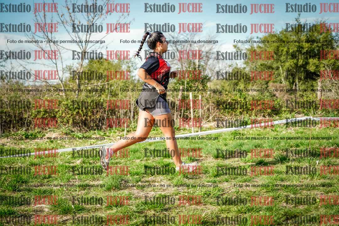 Fotos en el circuito
