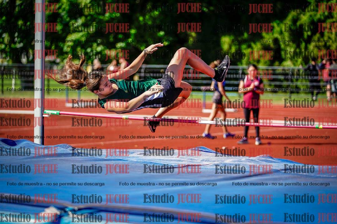 Fotos del salto en alto