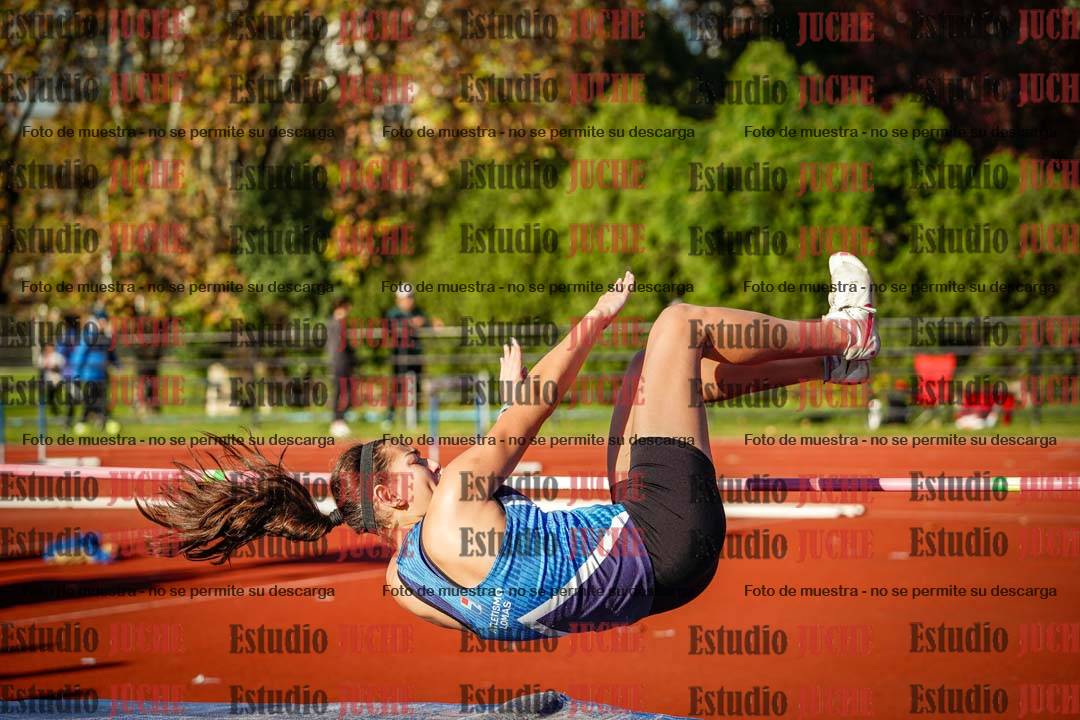 Fotos del salto en alto