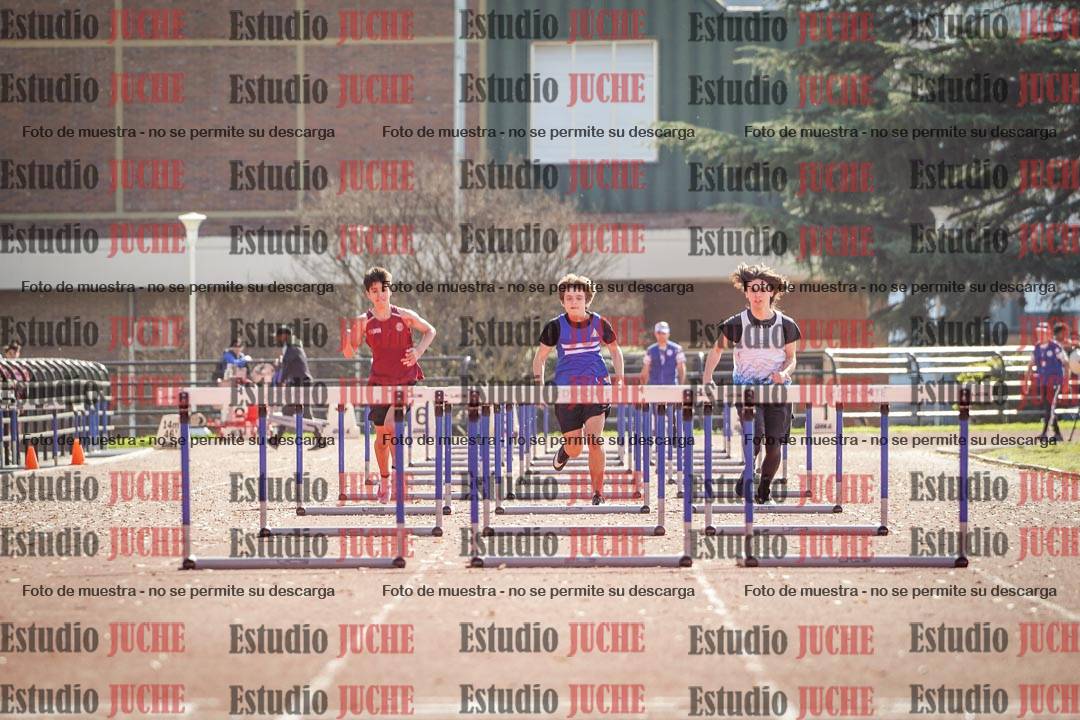 Fotos de los 110 m con vallas de varones