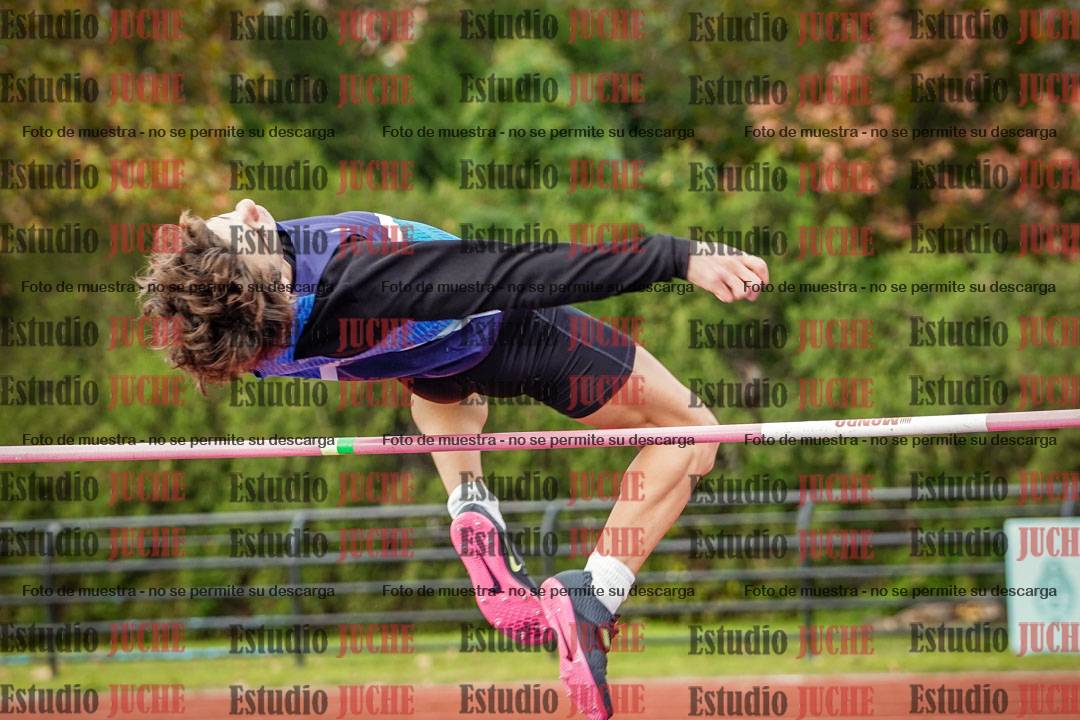 Fotos del salto en alto de varones