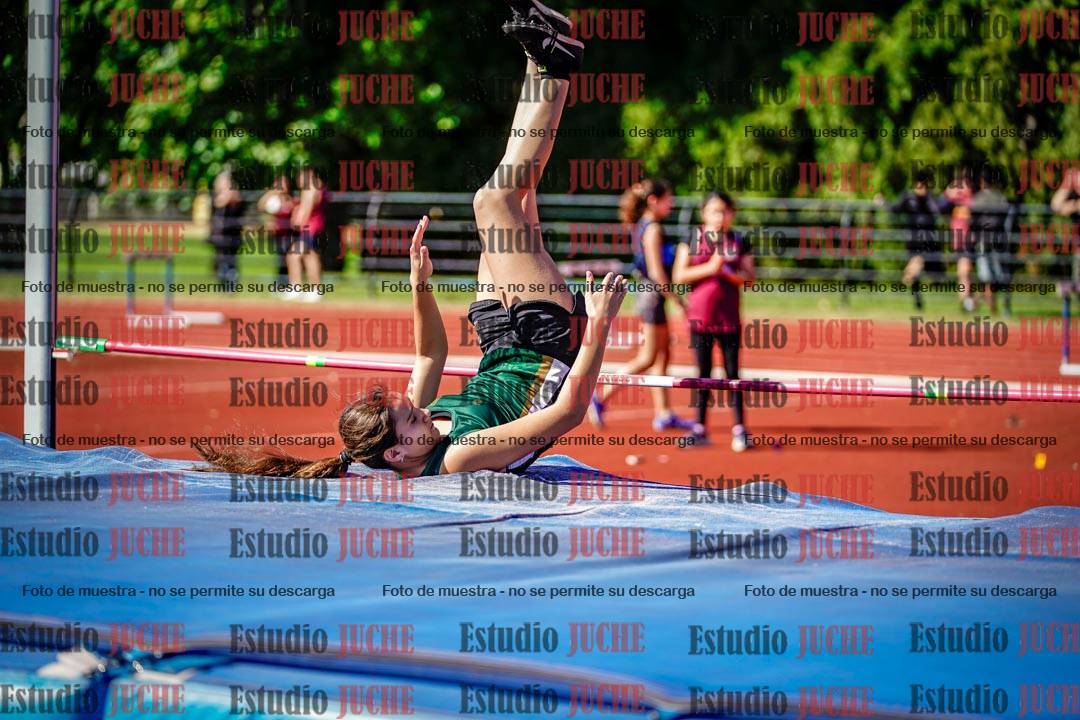 Fotos del salto en alto