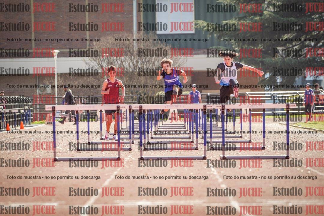 Fotos de los 110 m con vallas de varones