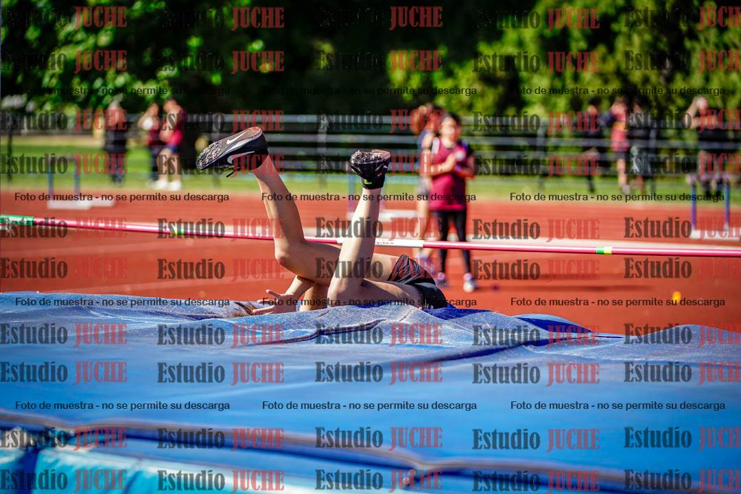 Fotos del salto en alto