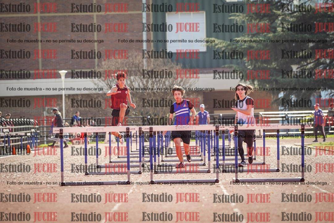Fotos de los 110 m con vallas de varones