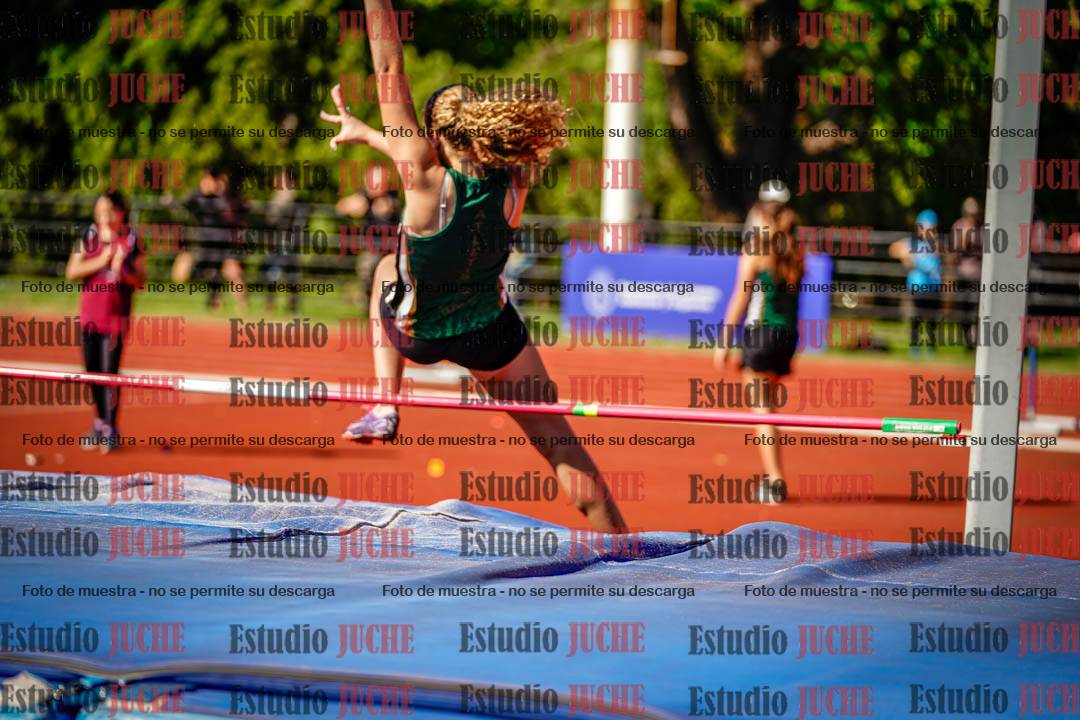Fotos del salto en alto