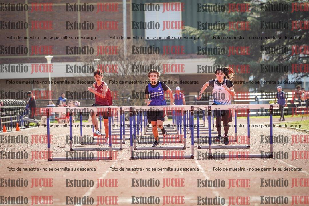 Fotos de los 110 m con vallas de varones