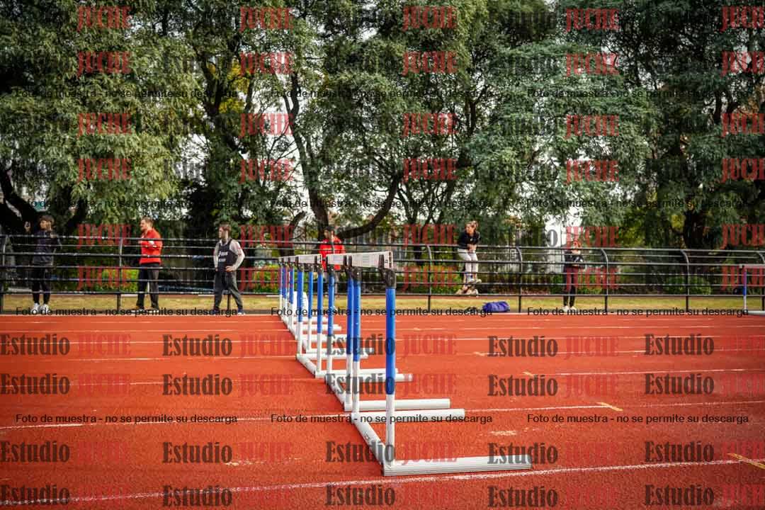 Fotos de los 110 m con vallas de varones