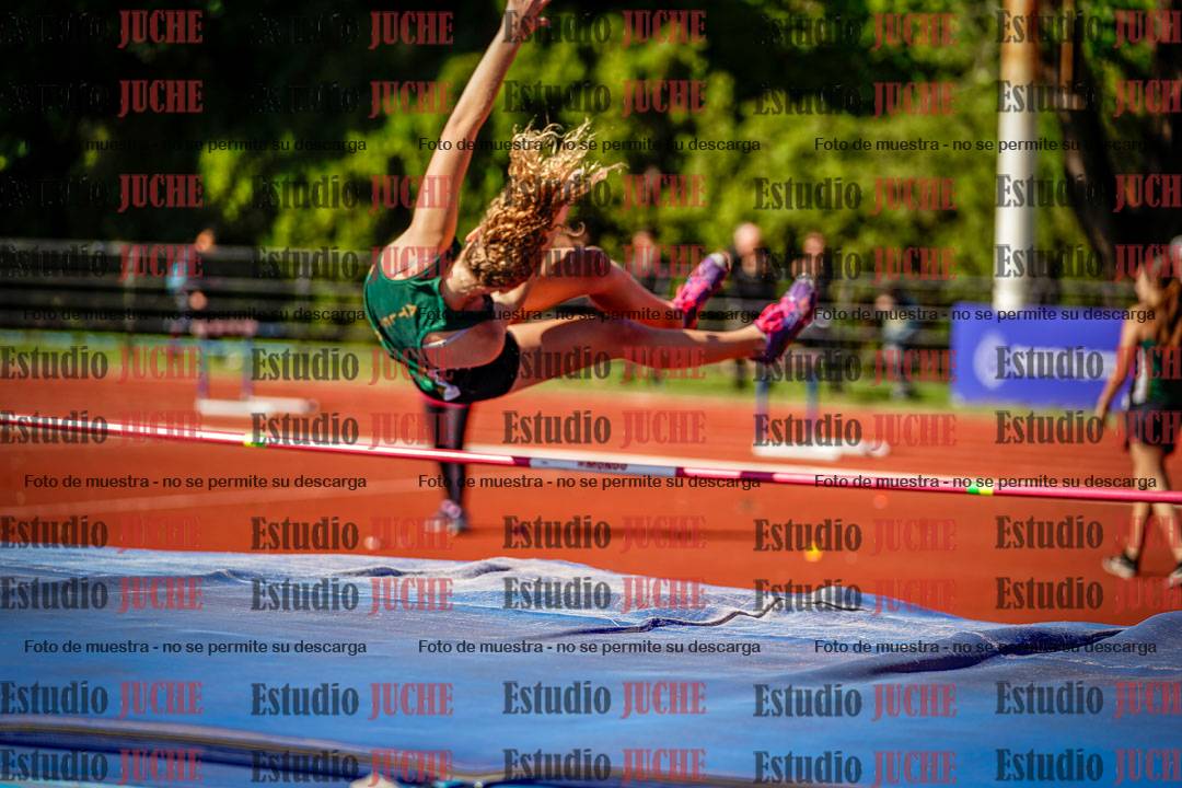 Fotos del salto en alto