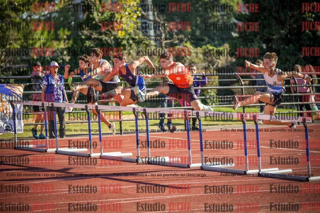 Fotos de los 110 m con vallas de varones