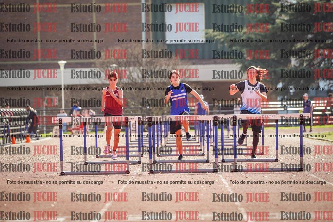 Fotos de los 110 m con vallas de varones