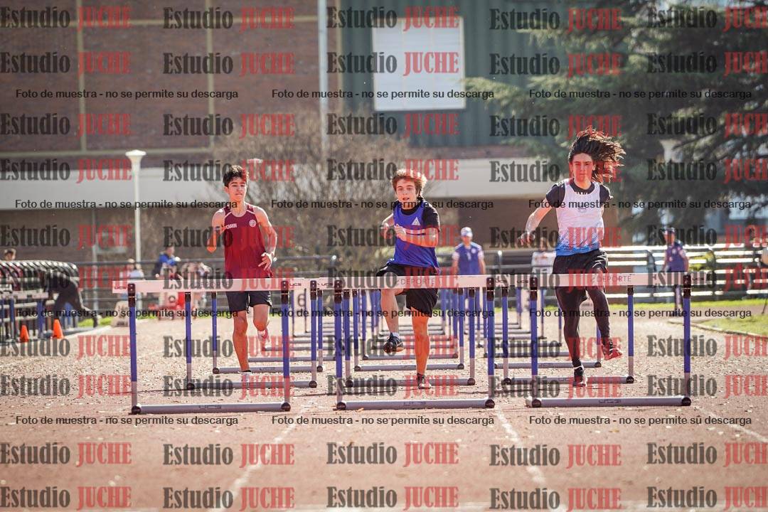 Fotos de los 110 m con vallas de varones