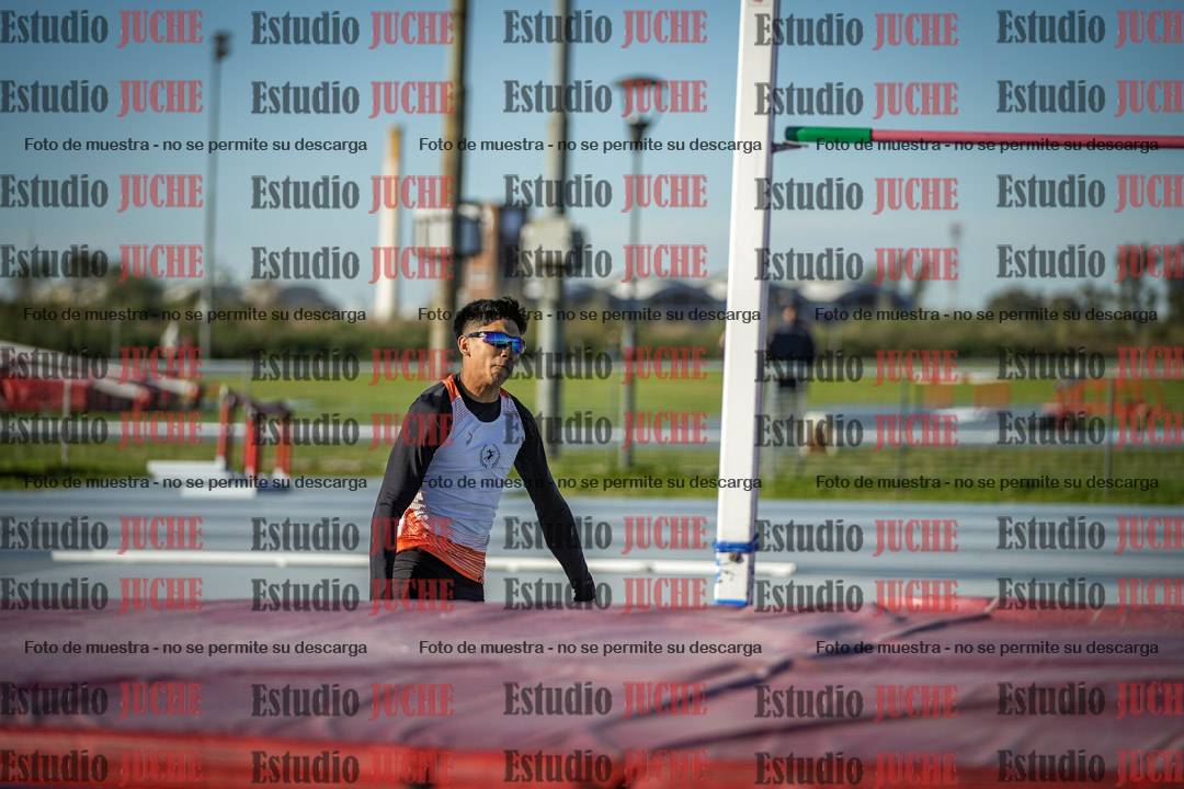 Fotos del salto en alto de varones