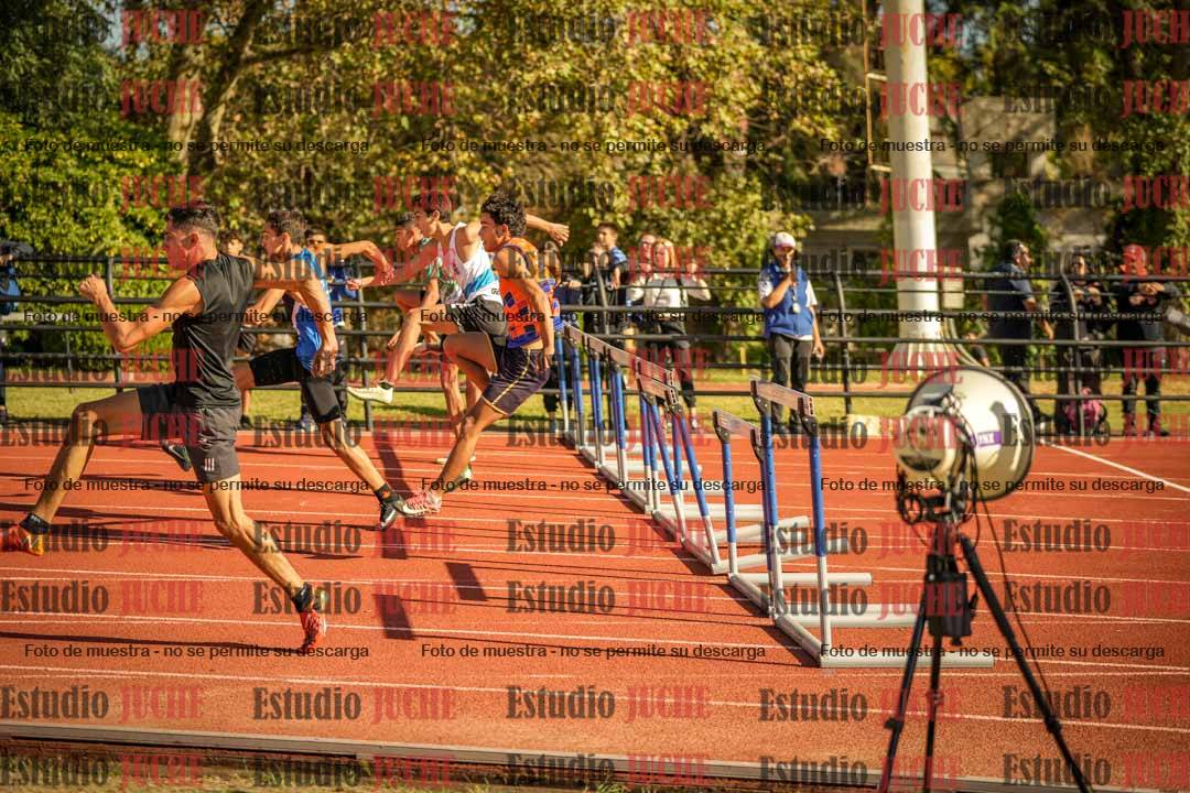 Fotos de los 110 m con vallas de varones